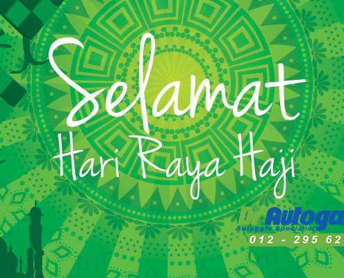 Best Auto Gate Review