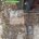 Autogate Installation Price Ampang